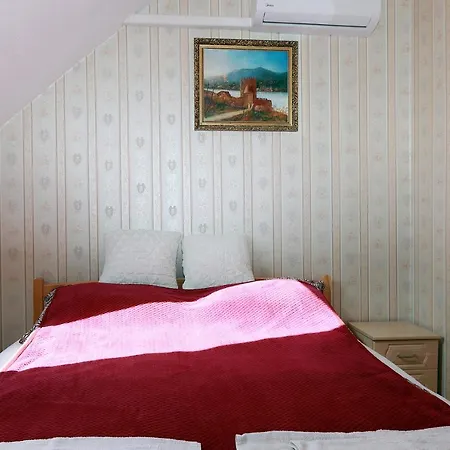 Arany Dio Fogado Homestay