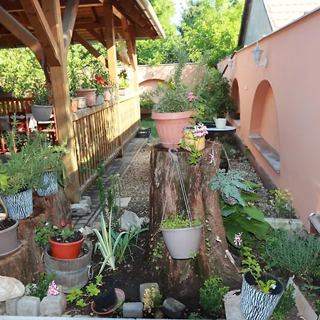 Arany Dió Habitación en casa particular *